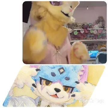 Animal Costume with Plush Toys
