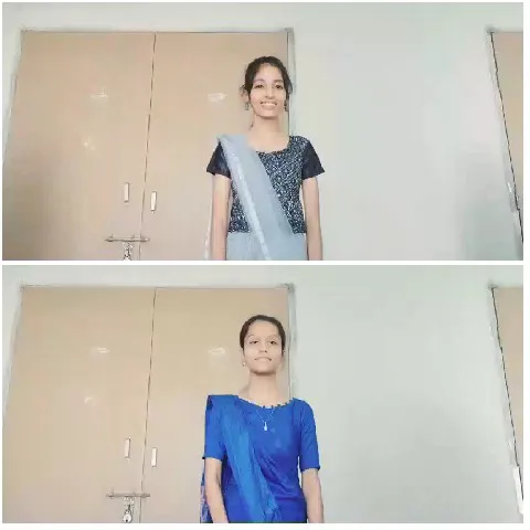 Person in Different Sarees