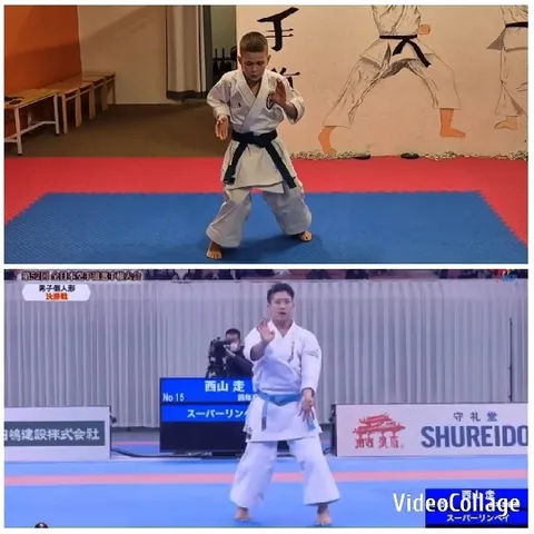 Karate Stance and Kata Performance