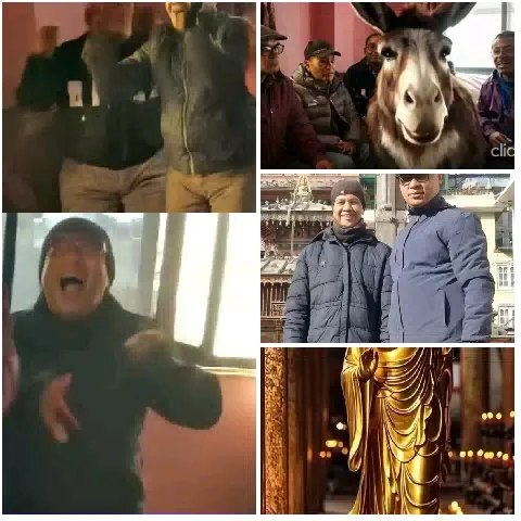 Humorous Moments with Friends and Donkey