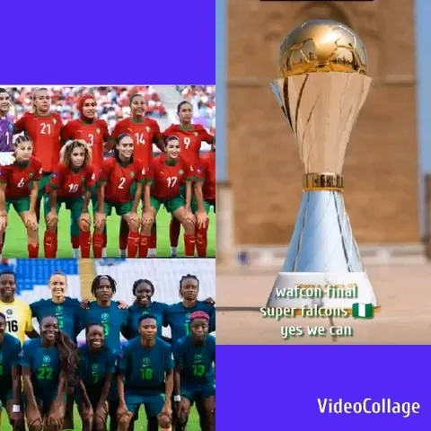 Sports Teams and Trophy Display