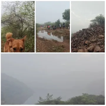 Outdoor Scenes with Dog and Landscape