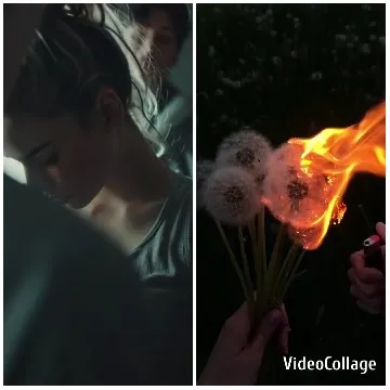 Profile with Dandelions on Fire