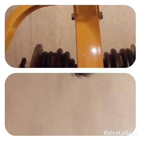 Gym Equipment and Headshot
