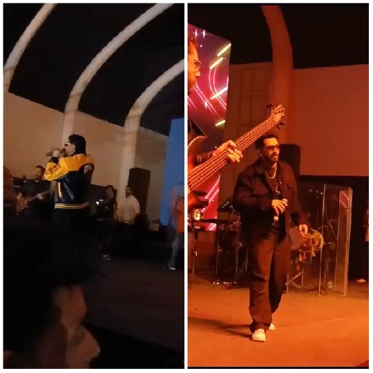 Live Music Performance Scenes