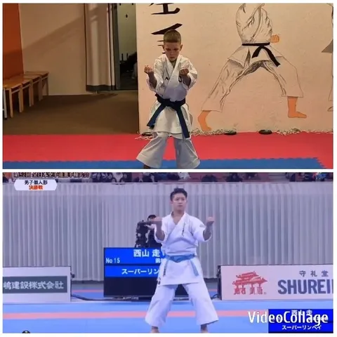 Young Karateka and Adult Competitor