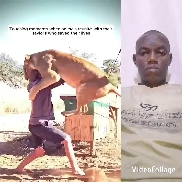 Man Embracing Lion in Nature