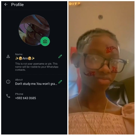 WhatsApp Profile and Stylish Filter