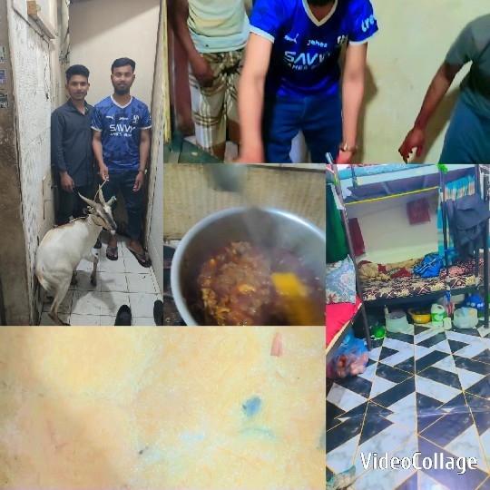 People, Food, and Household Scenes