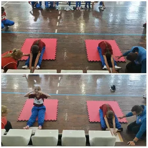 Stretching Exercises in the Gym