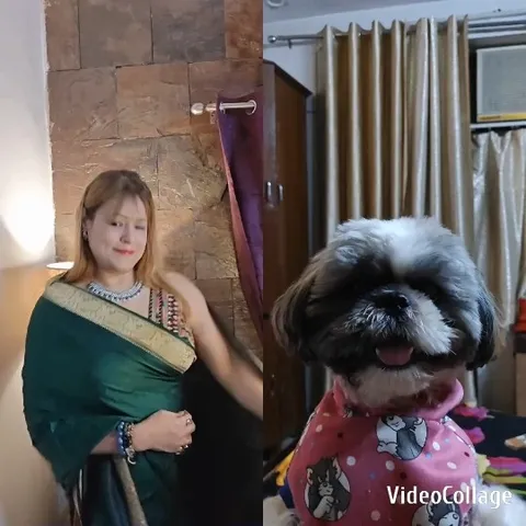 Person in Green Outfit with Dog