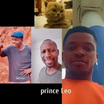 Person in Cap with Kitten Outdoors