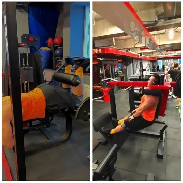 Leg Press Workout at the Gym
