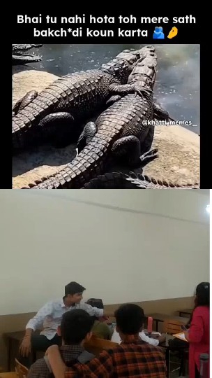 Crocodiles and Casual Gatherings