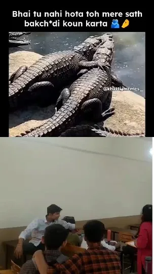Crocodiles and Casual Gatherings