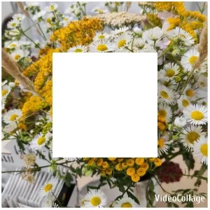 Bouquet of White and Yellow Flowers