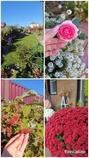 Beautiful Gardens and Flower Close-ups