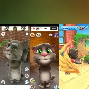 Playful Cats Against Colorful Wall