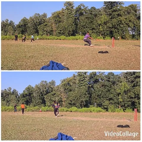 Calm Cricket Match on Grass Field