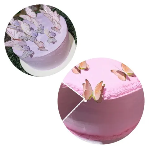 Two Decorative Cakes with Butterflies