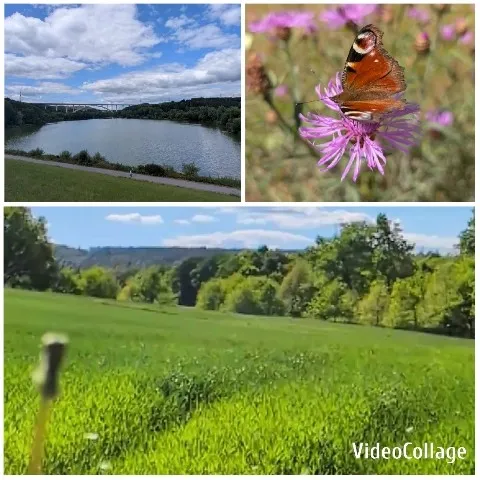 Nature Scenes with Butterfly and River