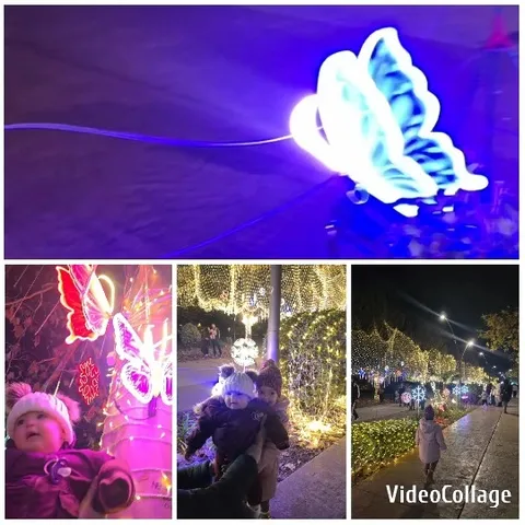Holiday Lights with Children