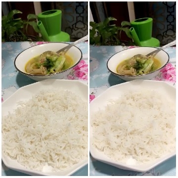 Rice and Soup Plate Comparison