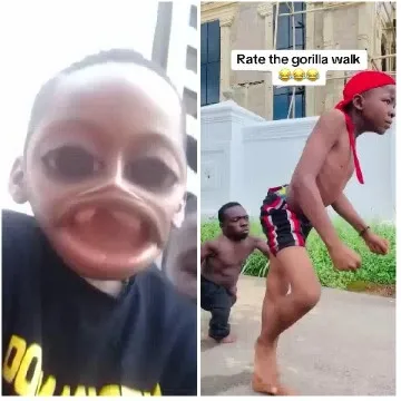 Distorted Face and Gorilla Walk