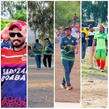 Cricket Players in Colorful Jerseys