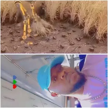 Farming Machine and Selfie Moment