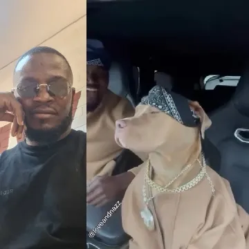 Relaxed Person and Stylish Dog