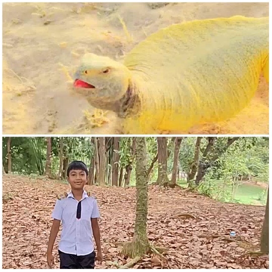 Lizard and Child in Nature