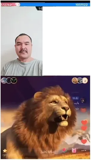 Man and Animated Lion Side by Side