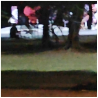 Blurry Park Setting at Dusk