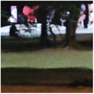Blurry Park Setting at Dusk