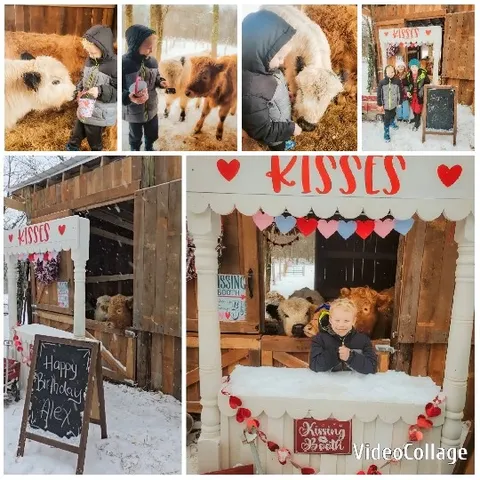 Children Interacting with Farm Animals
