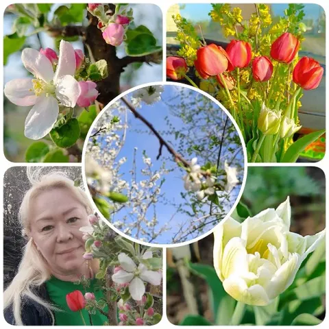 Flowers and Woman Among Blossoms