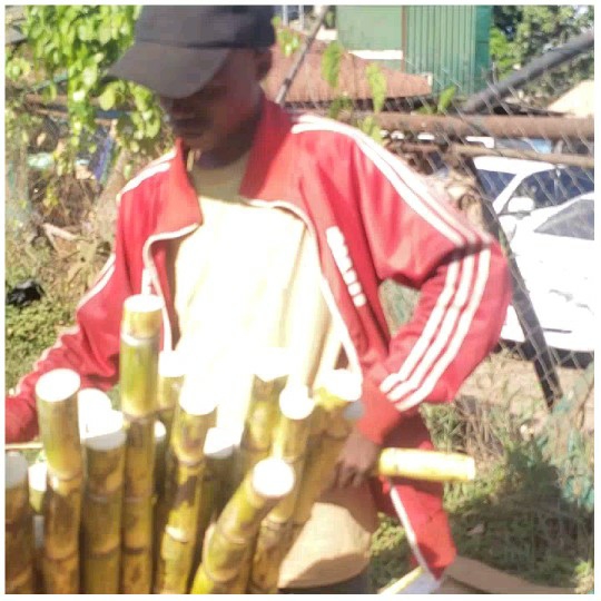 Handling Sugarcane Outdoors