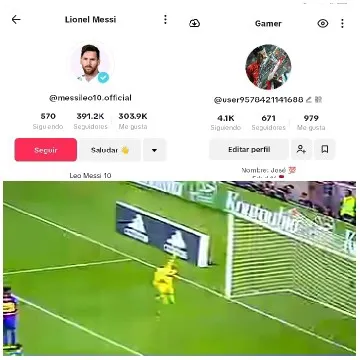 Soccer Profiles and Goal Scene