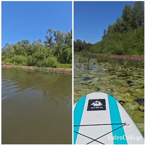 Tranquil Water Scene with Paddleboard