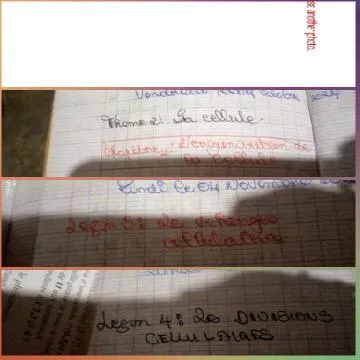 Colorful Notebook Pages with Topics