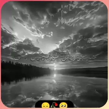 Black and White Serene Landscape