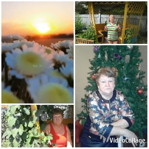 Sunset Over Flowers and Indoor Christmas Scene