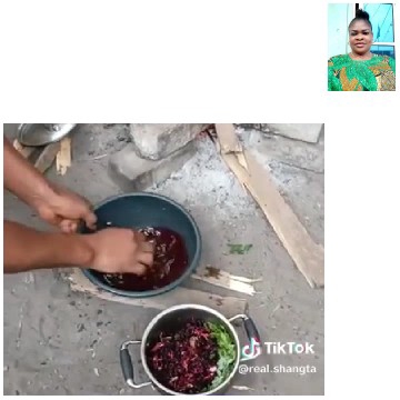 Outdoor Food Preparation Scene