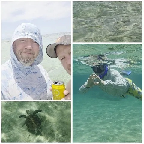 Beach Activities and Underwater Life