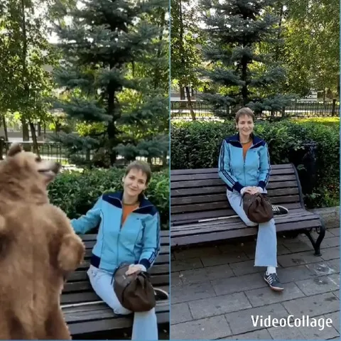 Person and Playful Bear in Park