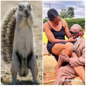 Squirrel and Couple on Bench