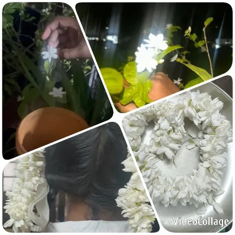 Flower Picking and White Flower Garlands