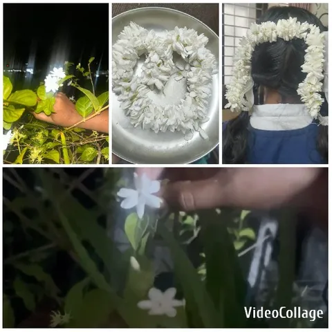 Hand Holding White Flowers at Night