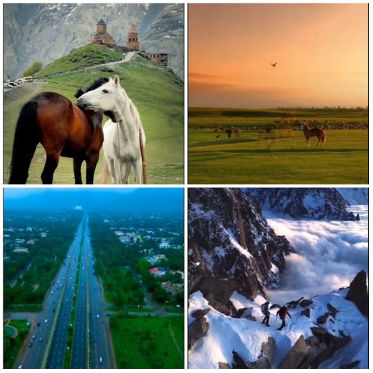 Horses, Sunset, Highway, Climbers